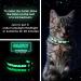 Pawtitas Glow in The Dark Cat Collar with Safety Buckle and Bell Teal - Buy Online on GoSupps.com