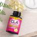 CLA 1 560mg Extra Strength Natural Health & Lean Muscle Support Supplement - Made in USA - Conjugated Linoleic Acid from Safflower Oil - Non-GMO - 60 Softgels - Buy Online on GoSupps.com