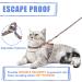 Supet Escape Proof Cat Harness and Leash Set - Adjustable for Small to Large Cats - Lightweight Orange Kitten Harness - Chest 14-21 - Buy Online on GoSupps.com
