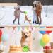 Buy Dauchgoe 3.46 Interactive Dog Ball Toy - Durable Water-Resistant Teeth Training Ball for Small & Medium Dogs - Ideal for Playtime - Buy Online on GoSupps.com