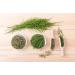 Horsetail Herb Tea | Equisetum Arvense L | Pr le Des Champs Herbe Tisane | Health Embassy (100g) 100 g (Pack of 1) - Buy Online on GoSupps.com