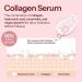 Hello You Collagen Face Serum with Ceramide - Dermatologist Tested Anti-Aging Korean Skin Care - Hydrates Improves Skin Barrier Promotes Glass Skin Reduces Fine Lines & Wrinkles - 1.69 Fl Oz - Buy Online on GoSupps.com