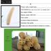 Large All Natural Loofah Sponge for Exfoliating Body Scrub - 100% Biodegradable and Reusable - Ideal for Kids, Men, Women, and Dishes - Organic Loofah for Soap Making - Buy Online on GoSupps.com