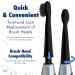 Sonic-FX Replacement Electric Toothbrush Heads | Compatible with Fairywill Sonic-FX and SnapWhite | Soft Charcoal/Nylon Bristles | Black Pack of 8 - Buy Online on GoSupps.com