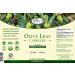 Olive Leaf Capsules - 550 mg Vegetable Capsules - Pure Organic Olive Leaf Powder with No Fillers - Immune Support Antioxidant Supplement (1000) 1 Count (Pack of 1000) - Buy Online on GoSupps.com