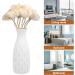 Rattan Fragrance Sticks - 8-Piece Aromatherapy Diffuser Set for Essential Oils | Room Fragrance with Natural Flowers & Wood - Buy Online on GoSupps.com