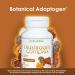 VH Nutrition Mushroom Supplement 1400mg Capsules - Vitality Support with Lions Mane, Chaga, Reishi Extracts - Buy Online on GoSupps.com