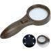  ZJchao 5X Handheld Magnifier Handheld Nonslip Handle Photoelectric Reading Magnifier 6 LED Magnifier Currency Detector Lights Without Batteries - Buy Online on GoSupps.com