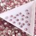 Light Rose Crystal Stone Strass Nail Gems Non Hotfix Flatback Rhinestones Stick On Nails and Clothing Full of Texture (Color : Light Rose Size : SS10 1440Pcs) SS10 1440Pcs Light Rose - Buy Online on GoSupps.com