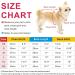 Idepet Dog Sweater - Winter Warm Pullover Clothing for Small & Medium Dogs & Cats | Cozy Yellow Pet Costume - Buy Online on GoSupps.com