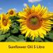Sunflower Oil (5 Liter) Edible Oil Large Container I Frying Oil I Ideal for Cooking Roasts and Sal - Buy Online on GoSupps.com