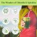 Premium Chlorella Spirulina Powder - 85 Servings - Non-GMO - Sunlight Grown - Deep Green Color - Cracked Cell Wall - High Protein - Alkalizing - Vegan Capsules - Mountain Water - 170g - Buy Online on GoSupps.com