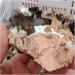 Natural Crystal Rough 100-400g Natural Citrine Brown Quartz Feldspar Crystal Cluster Wands raw Stones Points Tower Rock Specimen Decor (Color : About 400g) - Buy Online on GoSupps.com