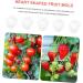 VANZACK 15 Pcs Fruit Shaping Mold White Watermelon Strawberry 4.5x4cmx3pcs Whitex3pcs - Buy Online on GoSupps.com