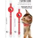 Reflective Airtag Cat Neck Band - Light Tracker Collar with Bell for Kittens & Cats - Red - Buy Online on GoSupps.com