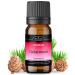 Cedarwood Essential Oil - 100% Pure & Natural Therapeutic Grade Cedar Essential Oil for Hair Growth & Skin - Cedarwood Oil for Diffuser Humidifier & Aromatherapy Cedar Oil for Sleep Relax - 10ml Cedarwood 10.00 ml (Pack of 1)