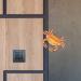 ORFOFE Retro Decor 1Pc orange balloons treadmills home decor ocean ornaments bike Hanging Decor wall hanging Crab pedal Orange 25x15cm - Buy Online on GoSupps.com