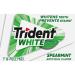Trident White Spearmint Sugar Free Gum 144 Pieces - 9 Packs - Buy Online on GoSupps.com