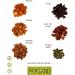 Dried Fruits and Nuts Trail Mix Healthy Snack - Unsalted - No Added Sugar - Noyland - 400 g - 14 oz - Buy Online on GoSupps.com