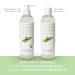 NaturSense Organic Aloe Vera Gel - USDA Certified for Face, Hair, Sunburn, Acne, Razor Bumps, Psoriasis, Eczema, Dry Skin - 12 oz - Buy Online on GoSupps.com