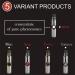 Cologne for Men - 5 Male Oil Perfumes x 2ml -Oil Perfume Set for Men - Great Holiday Gift Assorted 0.34 Fl Oz (Pack of 1) - Buy Online on GoSupps.com