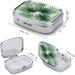 Transparent Palm Leaf Pill Box - 2 Compartment Medicine Organizer | Portable & Decorative Pill Case for Travel - Buy Online on GoSupps.com