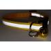 Reflective Cat Collar with Bell for Pets - Durable Polyester - Green/Yellow - Buy Online on GoSupps.com