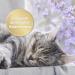 Felisept Home Comfort Elbe - Natural Cat Sedative with Catnip for Stress Relief | Safe Non-Pheromone Solution for Cats - Buy Online on GoSupps.com