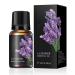 Lavender Oil for Aromatherapy Lavender Oil Essential Oil for Skin Lavender Massage Oil for Men and Women Travel Size Body Massager Oil 10 ml
