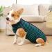 Shop Lianzimau Post-Op Dog Body Suit - Protective Surgical Shirt for Male Dogs - XXXL Green (1 Pack) - Ideal After Castration & Surgery - Buy Online on GoSupps.com