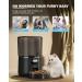 Tomxcute Automatic Cat Feeder 4L with Stainless Steel Bowl - 1-4 Meals Portion Control for Cats and Dogs - Buy Online on GoSupps.com