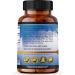 N-Acetyl-L-Cysteine (NAC) 1600 mg - Immune Support & Antioxidants 100 Veggie Capsules - Free Form International Shipping Available - Buy Online on GoSupps.com