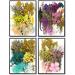 Vignee Real Dried Pressed Violet Flowers for DIY Craft Resin Jewelry - Colorful Daisies for Art and Crafting - Buy Online on GoSupps.com