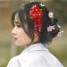 Japanese Style Cloth Hairpin Tassel Fans Shape Barrette with Bells Kimono Flower Headdress Traditional Clothes Cosplay Hair Decoration Accessory for Women Red - Buy Online on GoSupps.com