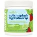 Splish Splash Hydration Electrolyte Drink Mix (Strawberry Kiwi Flavored 30 Servings)