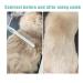 Double Sided Dog Grooming Comb for Tangles & Knots | Stainless Steel Pet Comb for Long & Short Hair | Cat Comb with Round Teeth - Buy Online on GoSupps.com