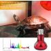 100W Red Light Lamp for Reptiles - E27 Heat Lamps for Turtles Snakes Bearded Dragons & More | 4-Pack Terrarium Heat Bulbs - Buy Online on GoSupps.com
