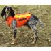 Canihunt Vest Flash V2 (XL) - Premium Dog Training & Hunting Gear | International Shipping Available - Buy Online on GoSupps.com