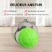 INSYOO Pet Toy Tumbler Pet Slow Feeder Food Dispenser Chew Multiple Functions Leaky Interactive Toys Ball Tumbler Design Balance Pet Swinging Toy Ball for Cats Dogs Puppy(Green) - Buy Online on GoSupps.com