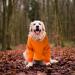Waterproof Dog Coat - Winter Warm Jacket for Puppies & Medium Dogs - XL Orange Fleece Hoodie - Buy Online on GoSupps.com