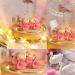 Shop Tangger 6PCs Nail Tips Holder Stand - Flamingo & White Swan for DIY Manicure & Salon Display - Buy Online on GoSupps.com
