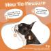 Kuoser Adjustable Dog Collar - Comfortable Lick Protection for Dogs | Prevent Bite and Wound Healing | Size S - Neck 24-30cm - Orange - Buy Online on GoSupps.com