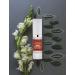 Premium Anti-Aging Foundation Makeup Primer with Vitamin Enrichment - Waterproof Base for Flawless Skin - Made in USA - Buy Online on GoSupps.com