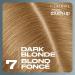 Clairol Root Touch-Up Permanent Hair Dye 7 Dark Blonde Hair Color 1 Count Dark Blonde - 7 - Buy Online on GoSupps.com