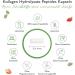 Premium Collagen Capsules - 240 Count 1500mg Daily Dose - 100% Hydrolyzed Cattle Peptides - Lab Tested - Fast International Shipping - Buy Online on GoSupps.com