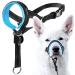 Goodboy halter for dogs with seat belt - prevents heavy pulling on a leash - padded halter for small medium -sized and large dogs - halter with training instructions (size 1 blue) Blue Size 1 (Pack of 1)