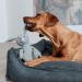 HUNTER Dog Toy Marle 35 cm - Pig Color | Durable & Fun International Shipping Available - Buy Online on GoSupps.com