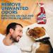 OUT! PetCare Advanced Stain and Odor Remover | Pro-Bacteria & Enzyme Formula | 32 oz (Pack of 2) - Buy Online on GoSupps.com