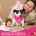 4-Piece Pet Birthday Party Supplies | Dog Triangle Scarf Hat & Gold Pink Decorations for Small Medium & Large Pets - Buy Online on GoSupps.com