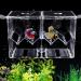 WEAVERBIRD Fish Breeder Box Clear Acrylic Aquarium Isolation Hatchery Feeding Boxes Perfect Isolator for Aggressive Fish Injured Fish Small Fish Shrimp Clownfish with 2pcs Sucker and Hook XL(Double Box) - Buy Online on GoSupps.com